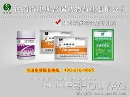 深耕禽藥市場，把握代理機遇 從鴨藥到品牌的全方位指南